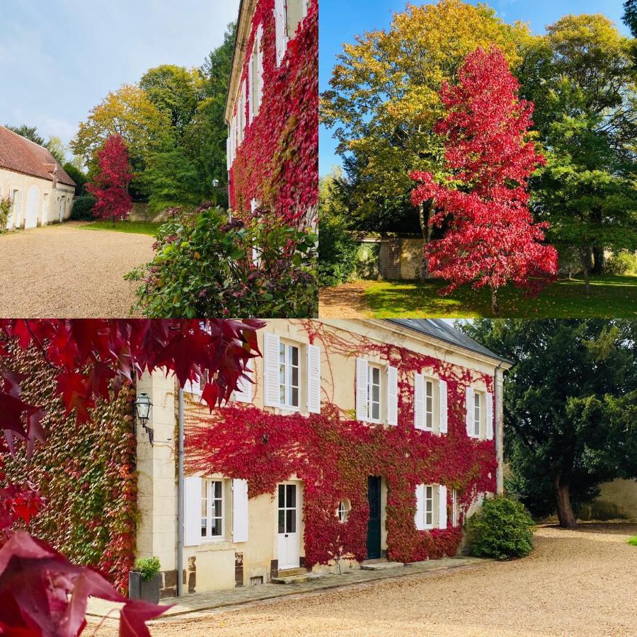 Les Couleurs Du Verger Beaumont-les-Autels エクステリア 写真