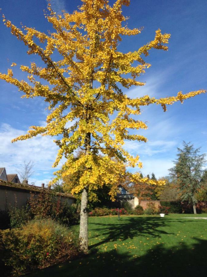 Les Couleurs Du Verger Beaumont-les-Autels エクステリア 写真